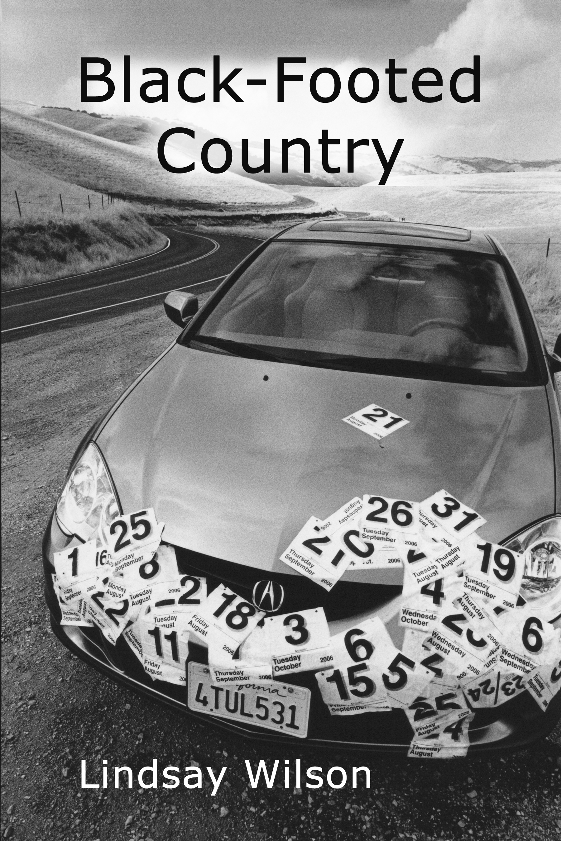 Black-Footed Country book cover